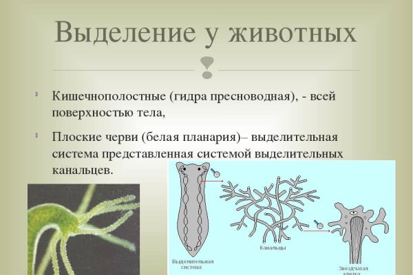 Кракен не приходят деньги